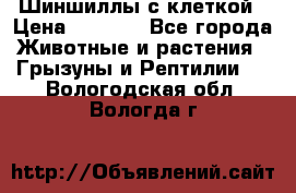 Шиншиллы с клеткой › Цена ­ 8 000 - Все города Животные и растения » Грызуны и Рептилии   . Вологодская обл.,Вологда г.